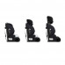 Автокресло Cosatto Zoomi 3 I-Size (Foxed)